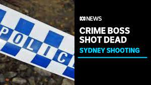 A man who escaped a gun attack months ago has been shot multiple times in a violent drive by attack in sydney's west. Usjzynz3f4sjcm