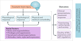 Traumatic brain injury: sex, gender and intersecting vulnerabilities |  Nature Reviews Neurology