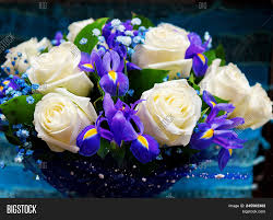 Rose White Rose Image Photo Free Trial Bigstock
