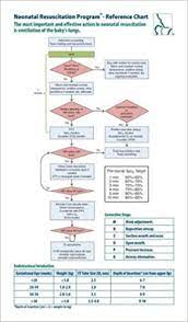 7th edition nrp flow diagrampdf free download ebook handbook textbook user guide pdf files on the internet quickly and easily. Nrp Pocket Card 9781610020329 Medicine Health Science Books Amazon Com