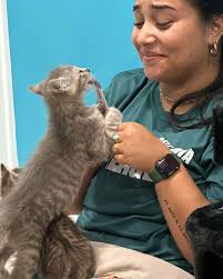 We are in DESPERATE need of volunteers to help care for our purrfectly  adoptable cats and kittens at our offsite locations! The two locations we  need help with are at the Pet
