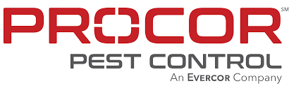 We service everything from large management companies (high rise and garden apartment complexes), top of the line hotels to single family homes and apartments both in cities and small towns. Top 7 Best Pest Exterminators In Dingmans Ferry Pa Angi