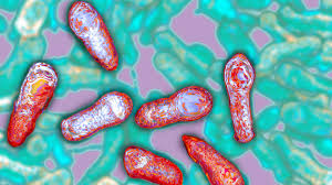 Botulism is a rare but serious illness that causes paralysis. Why Scientists Held Back Details On A Unique Botulinum Toxin Shots Health News Npr