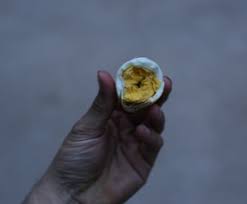 Most every rver has enjoyed roasting marshmallows or hot dogs cooking bacon on a stick is just a matter of finding the right stick with a couple of protruding nubs a few inches apart. 6 Foods To Cook On A Stick The Art Of Manliness