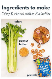 Celery Snacks For Kids Butterflies A Fun Healthy Food Idea