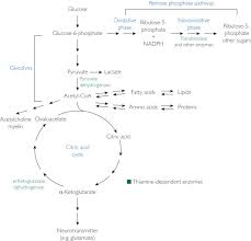 Type in the name of a topic and click the search button. Wernicke Encephalopathy Clinical Pearls Mayo Clinic Proceedings