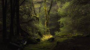 If there are photos or images that shouldn't be promoted. Nature Wallpapers Full Hd Hdtv Fhd 1080p Desktop Backgrounds Hd Pictures And Images
