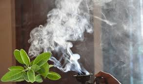 Persoana negativă se hrănește cu reacțiile tale. Cum SÄ FoloseÈti Salvie Pentru A Elimina Energiile Negative Din CasÄ Actualitate