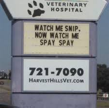 Top 3 reasons to spay and neuter. 30 Of The Funniest Cat Jokes Vet Clinics Put Up On Their Signs Bored Panda