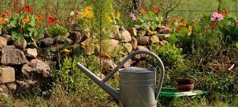 Aus einen verwilderten garten kann man oft mehr machen als aus einem abgeholzten,,, schneide ein bisschen frei und schau welche pflanzen schön sind. Geeignete Blumenzwiebeln Zum Verwildern