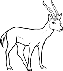 Wild Animals Draw Yahoo Canada Image Search Results Wild Animals Drawing Animal Drawings Animals Wild