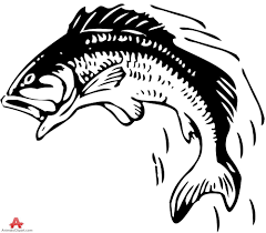 Maybe you would like to learn more about one of these? Fish Drawings Wildlife Tattoo Fish Jumps