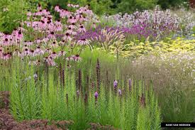 Vlinderhof Maximapark Utrecht Design Piet Oudolf Images Hans Van Horssen Garten Staudengarten Landschaftsdesign