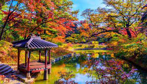 Visit seoul, nami island, mt sorak and everland with the cool autumn weather in korea. Autumn In Korea 9 Stunning Places You Should Visit In 2021