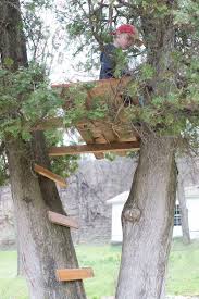 This one is made for a dining room table, but if you have a picnic table with movable benches you are in business. 15 Epic Outdoor Forts For Backyard Fun