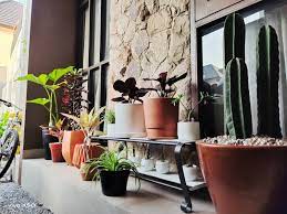 Tidak harus menggantinya dengan arang atau kristal, tetapi ganti dengan tanah baru agar dapat memperbaharui nutrisi tanaman. 9 Desain Taman Minimalis Depan Rumah Yang Cantik Dan Asri