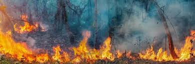 Sia] so my love, keep on running you gotta get. A Fire Raging Why Fire Metaphors Truly Fan The Flames Of Covid 19 Lancaster University