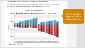 Cash Flow Projection Omnimax