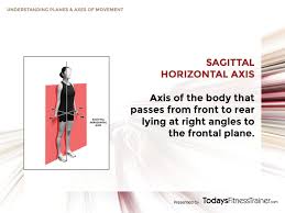 Understanding Planes And Axes Of Movement In 2020 Understanding Movement Sagittal Plane