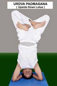 Yoga Poses Upside Down Lotus Yoga Pose Lotus Pose Yoga Yoga Poses Hatha Yoga Poses