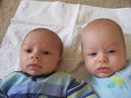 THE BRUSCHKE FAMILY: January 2008