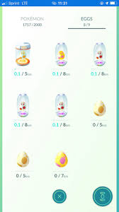 What are the requirements for incubating eggs at home? Bug Went To Incubate My Three 12k Eggs With My Three Free Super Incubators Experienced A Little Lag Reconnected To Find That A New Super Incubator Materialized Out Of Nowhere That
