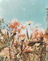 Flower Field Spring Aesthetic Flower Aesthetic Aesthetic Iphone Wallpaper