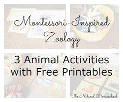 Check spelling or type a new query. Montessori Inspired Zoology 3 Animal Activities With Free Printables The Natural Homeschool