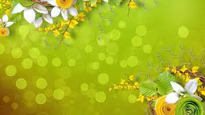 A beautiful yellow flowers background in summer. Green And Yellow Flowers Wallpapers Top Free Green And Yellow Flowers Backgrounds Wallpaperaccess