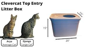 The large opening of the box when uncovered makes it easy to scoop out the contents and wash the box. Clevercat Top Entry Litter Box Review Kitty Loaf