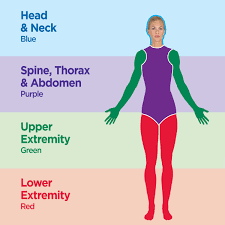 Trigger Point Charts 5 Chart Set Kent Health Systems