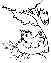 Paper plate bird's nest craft for spring. A Bird With Eggs In A Nest Coloring Page