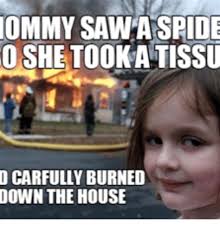 Burning house spider memes images and text to transmit social and cultural ideas to one another. Burn The House Down Memes