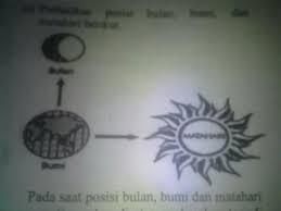 Saat fase ini, bulan terlihat setengah terang, sedangkan bagian lainnya seperti tertutup bayangan. Perhatikan Posisi Bulan Bumi Dan Matahari Berikut Pada Saat Posisi Bulan Bumi Matahari Seperti Brainly Co Id