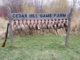 Fish species include bass and catfish. Cedar Hill Game Farm Game Farm And Guide Service Listing In Midwest Wisconsin Huntspotz Your Hunting Land Guide