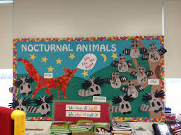 Nocturnal Animals Bulletin Board Nocturnal Animals Kindergarten Crafts Animal Planet