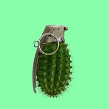 images?q=tbn:ANd9GcT9orZ8h93C1sHb2jD_REs