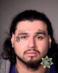 Gun mission' snatches illegal pistols from felons « East PDX News