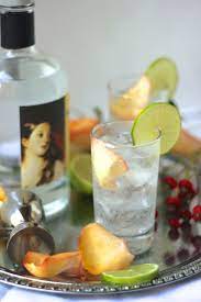 The Best And Prettiest Gin Tonic I Ve Ever Had Recipe Gin And Tonic Gin Tonic Recipe Best Gin And Tonic