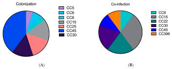 We would like to show you a description here but the site won't allow us. Toxins Free Full Text Staphylococcus Aureus Pneumonia Preceding Influenza Infection Paves The Way For Low Virulent Strains Html