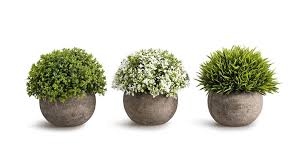 We did not find results for: The 10 Best Places To Buy Artificial Plants Online Reviewed