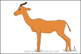How to draw an impala animal step by step. How To Draw A Gazelle Standing Cute Easy Drawings