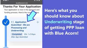 It can generally take between 3 days to it takes about 30 days to get a home loan, for most people. Blue Acorn Underwriting Ppp Status What Does It Mean And What If You Re Stuck On This Ppp Stage Youtube