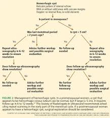 Incidental Ovarian Cysts When To Reassure When To Reassess