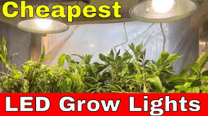 Walmart pretty much sells anything one needs for lighting. Cheapest Led Grow Lights 2019 Youtube