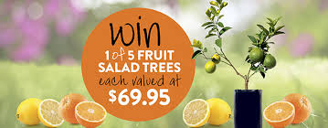Good news, there is a fruit salad tree suitable for all australian climates! Win A Fruit Salad Tree Gardening Australia