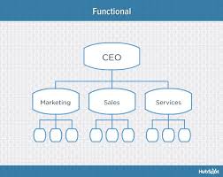 9 Types Of Organizational Structure Every Company Should