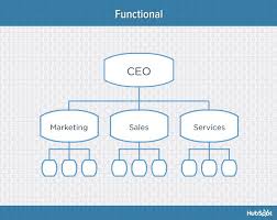 9 types of organizational structure every company should