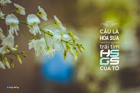 Khoa học và công nghệ bách khoa đà nẵng. TrÆ°á»ng Thpt Chuyen Khoa Há»c Tá»± Nhien Home Facebook