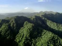 Am f jauhnya kau terbang c g siapa sangka? Fynn Jamal Terbang Tunduk Video Phoneky